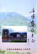 安顺彝族乡志 (安顺县地方志) 2005年版 pdf电子版下载