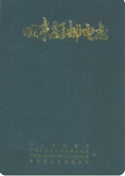 田东县邮电志(田东县地方志)2000版 pdf电子版下载