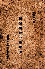 阿城县政一般概况 1937版 pdf电子版下载
