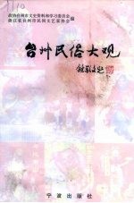 台州民俗大观 台州市民间文艺家协会编1997版 pdf电子版下载
