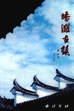 皤滩古镇-台州市文史资料委员会等编2001版 pdf电子版下载