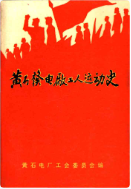 黄石发电厂工人运动史 (黄石市地方志) 1991年版 pdf电子版下载