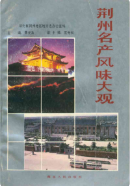荆州名产风味大观 (荆州市地方志) 1987年版 pdf电子版下载