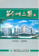 荆州三医志(1928-2008) (荆州市地方志) 2008年版 pdf电子版下载