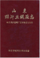 山东临沂丝绸厂志 (临沂市地方志) 1997年版 pdf电子版下载