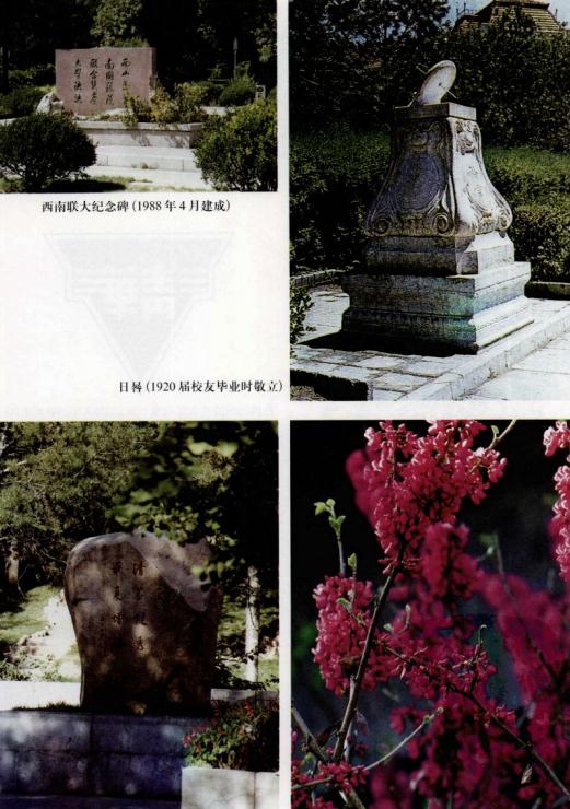 清华大学志 2001版（上下册） PDF下载