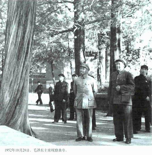 曲阜地名志 1998版 PDF下载
