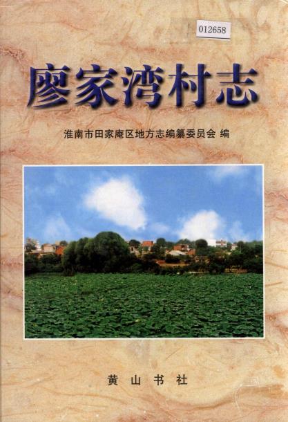 淮南市田家庵区安成镇廖家湾村志PDF电子版网盘下载