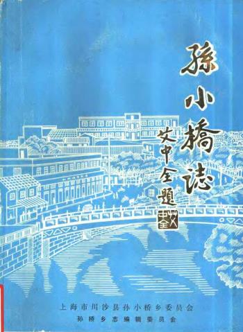 孙小桥志 PDF下载
