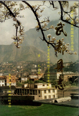 武都县志PDF电子版网盘下载