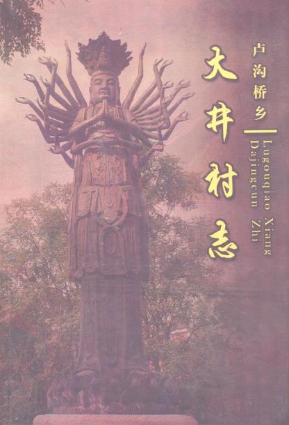 北京市卢沟桥乡大井村志PDF电子版网盘下载