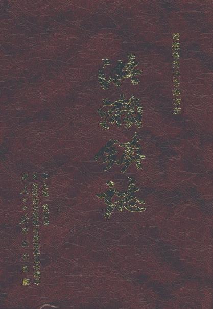 洪濑镇志PDF电子版网盘下载