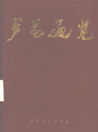 卢龙通览PDF电子版网盘下载