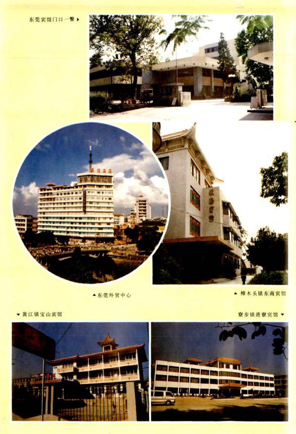 东莞市地名志 1987版 PDF下载
