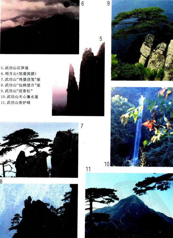 安福县志 1995版 PDF下载