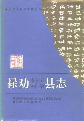 禄劝彝族苗族自治县志PDF电子版网盘下载