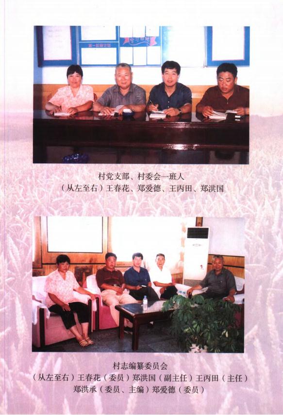 莱西市董格庄村志（2003版） PDF下载