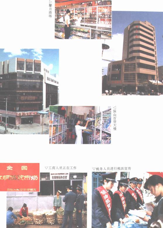 保山市志 1993版 PDF下载