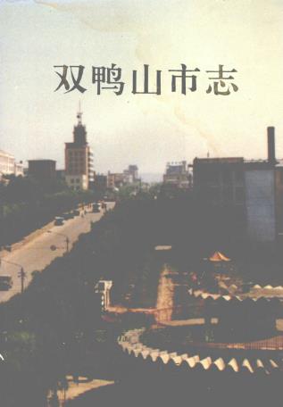 双鸭山市志(全七册)PDF电子版网盘下载