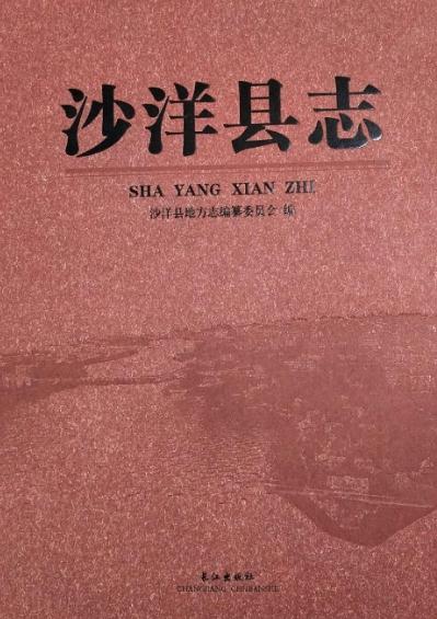 沙洋县志 2013版 PDF下载