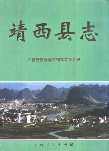 靖西县志（2000版） PDF下载