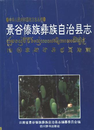 景谷傣族彝族自治县志PDF电子版网盘下载