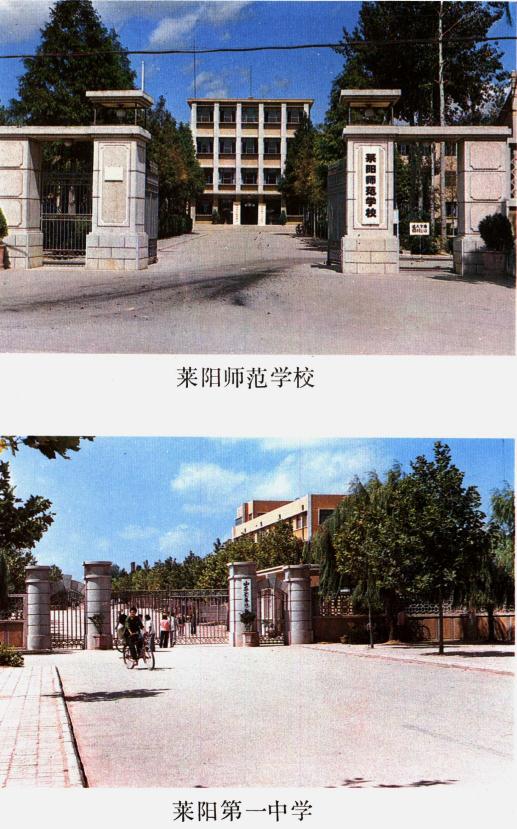 莱阳市地名志（1988版） PDF下载