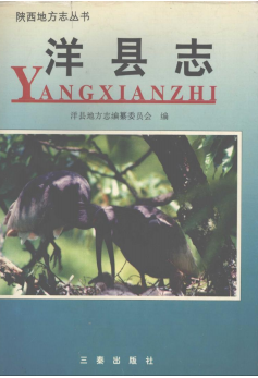 洋县志PDF电子版网盘下载