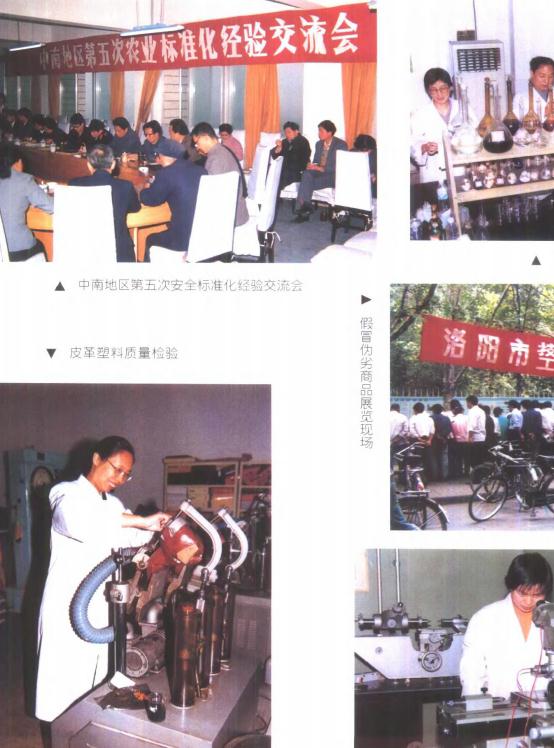 洛阳市志 第11卷 计划 统计 劳动工资 物价 物资 工商行政 标准计量 审计志 PDF下载