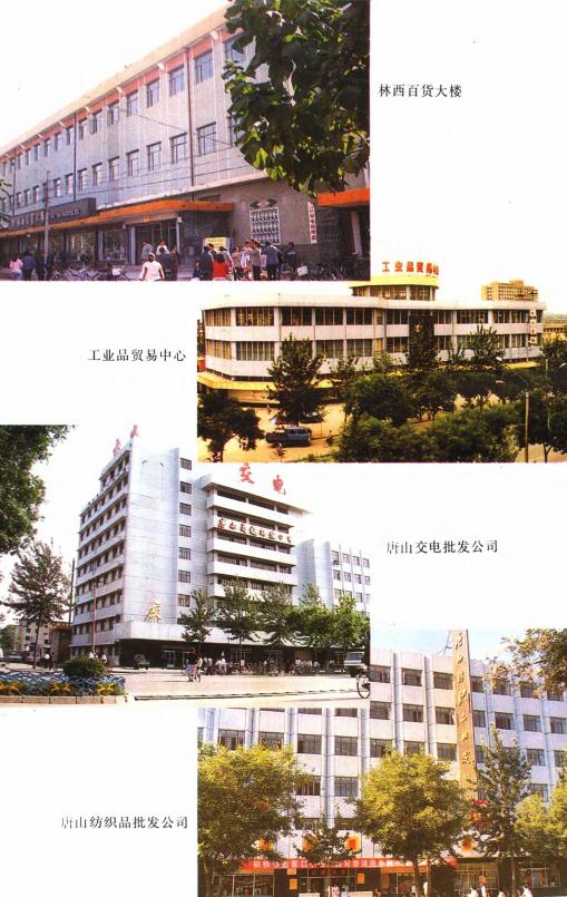 唐山市商业志（1992版） PDF下载