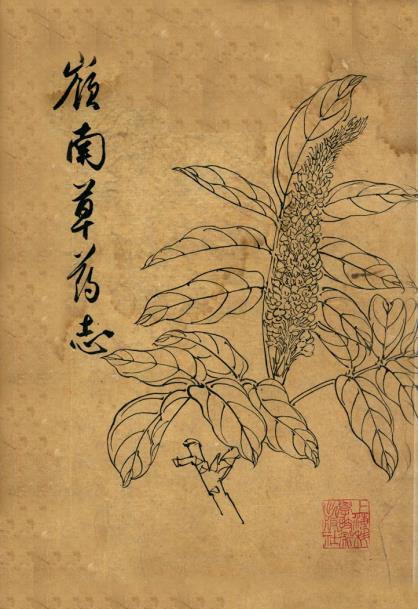 岭南草药志PDF电子版网盘下载