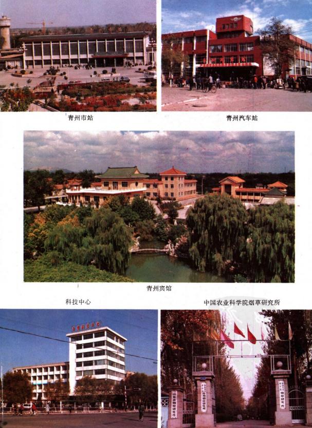 青州市地名志（1992版） PDF下载