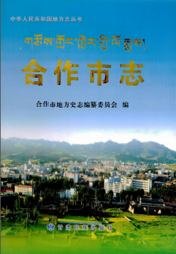 合作市志PDF电子版网盘下载