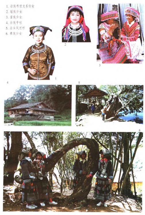 新编文山风物志（2000版） PDF下载