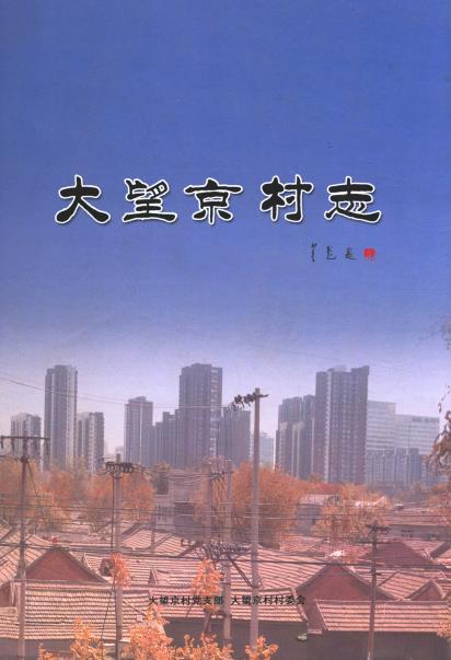 北京市朝阳区大望京村志PDF电子版网盘下载