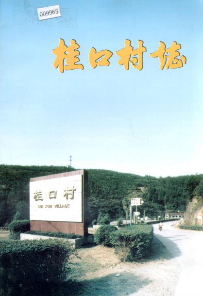 福建省永安市桂口村志PDF电子版网盘下载