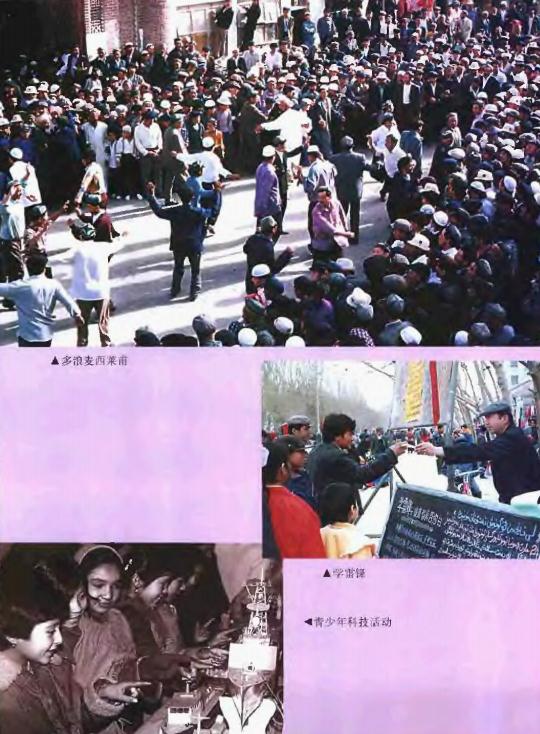 阿瓦提县志（1999版） PDF下载