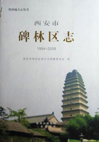 西安市 碑林区志（1994-2008） PDF下载