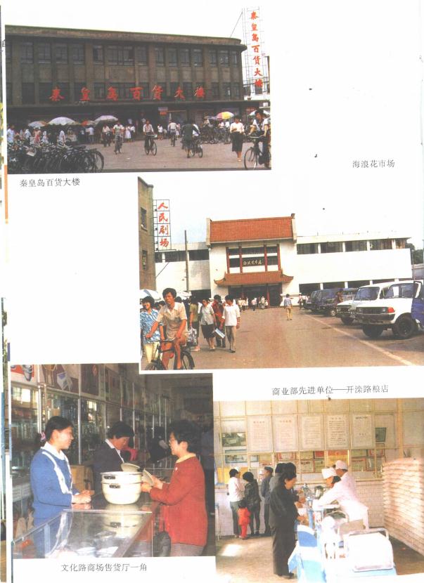 秦皇岛市海港区志 1990版 PDF下载