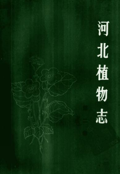 河北植物志（1986-1991）第1-3卷合订本 PDF下载