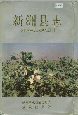 新洲县志PDF电子版网盘下载