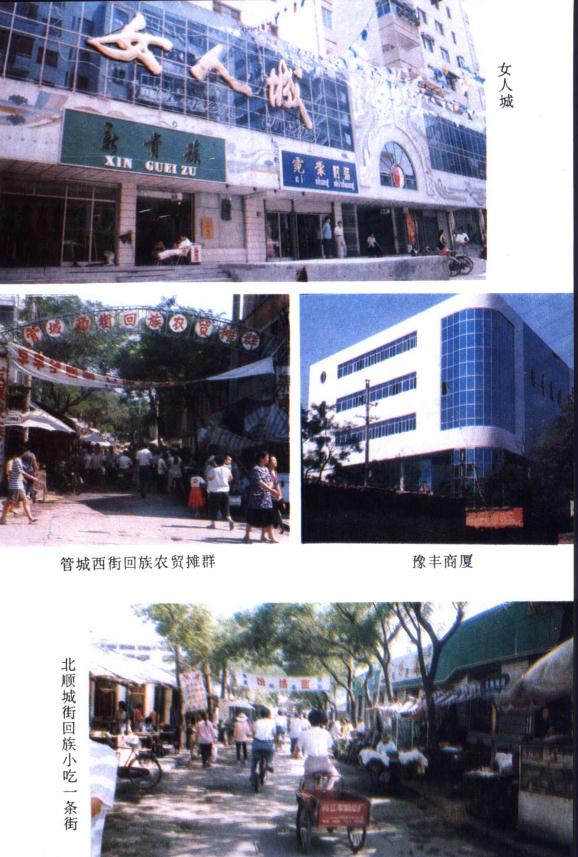 郑州市 管城回族志 1995版 PDF下载