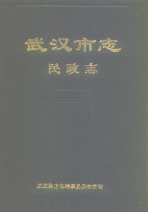 武汉市志·民政志PDF电子版网盘下载