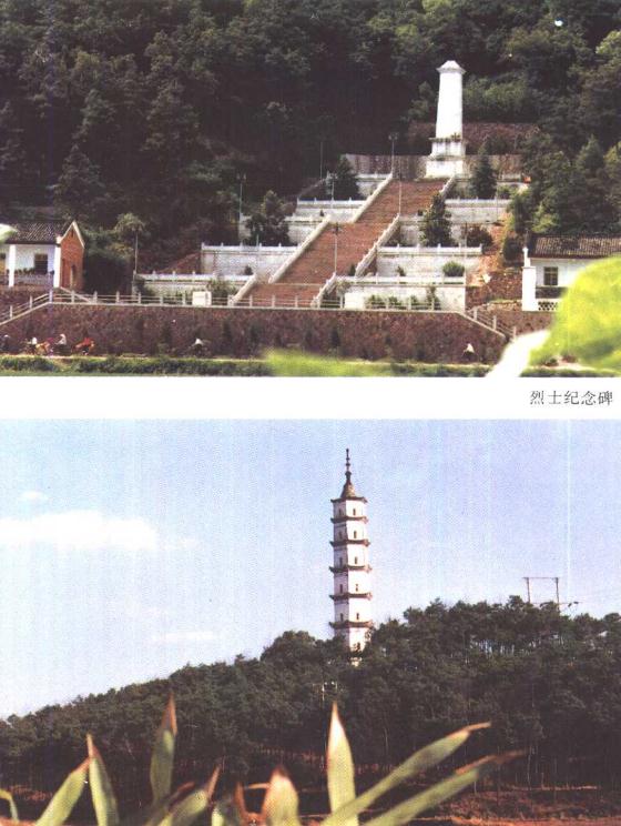 武义县志 1990版 PDF下载