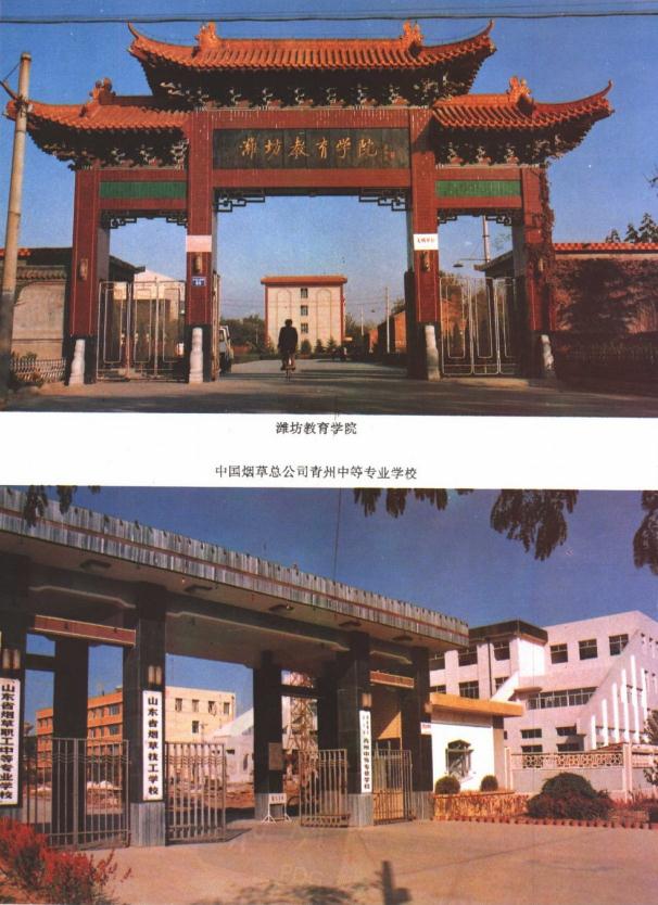 青州市地名志（1992版） PDF下载