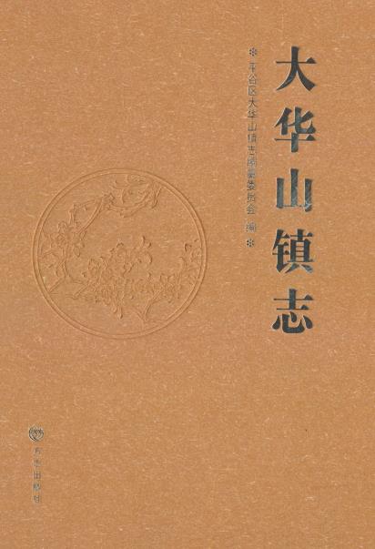 大华山镇志PDF电子版网盘下载