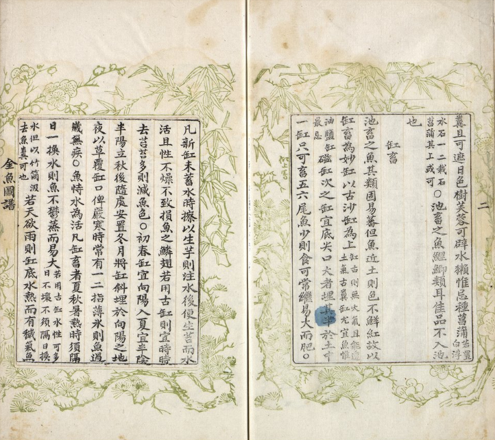 金鱼图谱 （不分卷） PDF下载