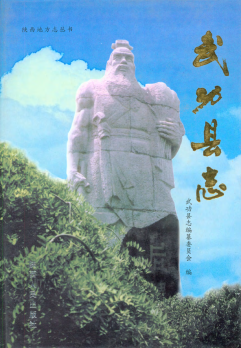 武功县志PDF电子版网盘下载