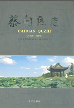 蔡甸区志PDF电子版网盘下载