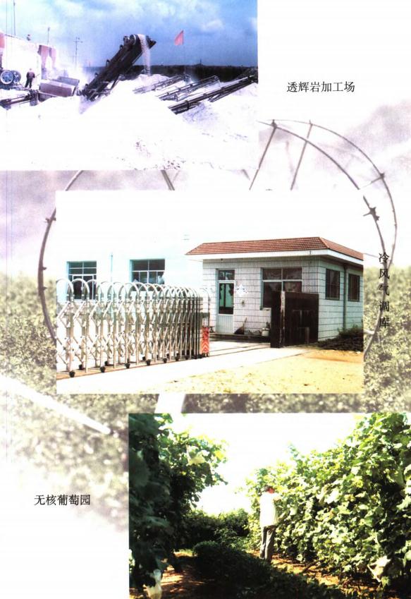 莱西市董格庄村志（2003版） PDF下载